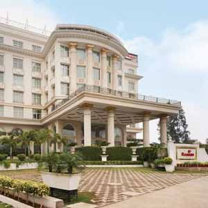 escorts service in Noida hotels